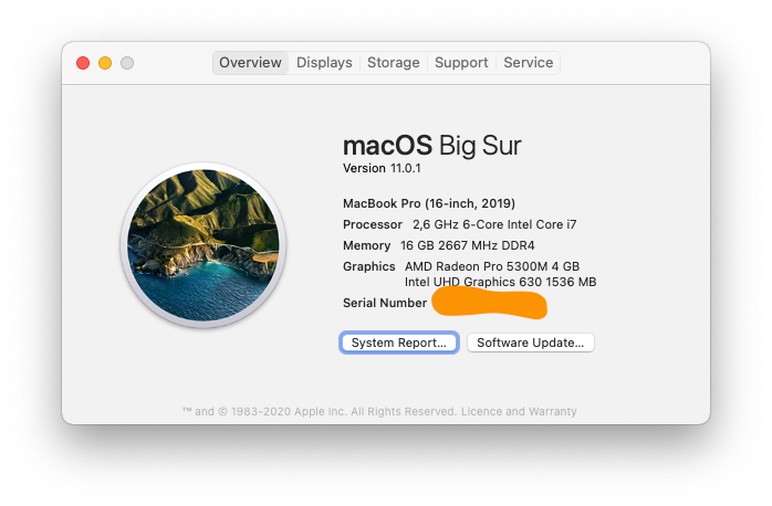 install brew macos big sur